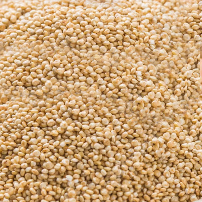 Quinoa